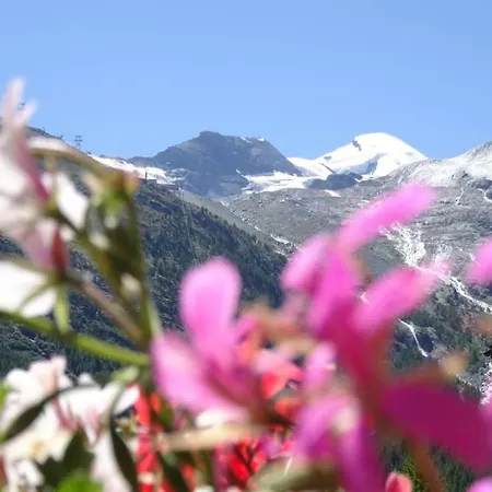 Alpenfirn Apartment *